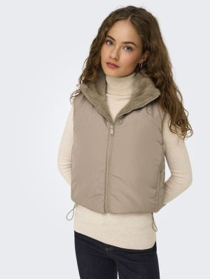 ONLDANA FAUX FUR REV.WAISTCOAT Silver Mink