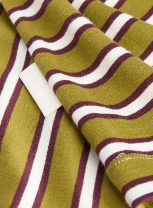 JXSOPHIA BOXY LS STRIPE TEE JR Green Moss/Vani